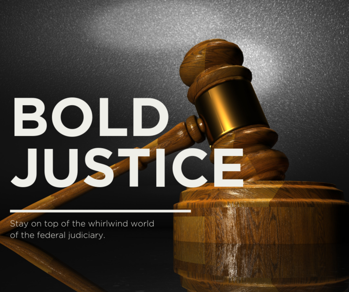 File:Bold Justice promo image.png