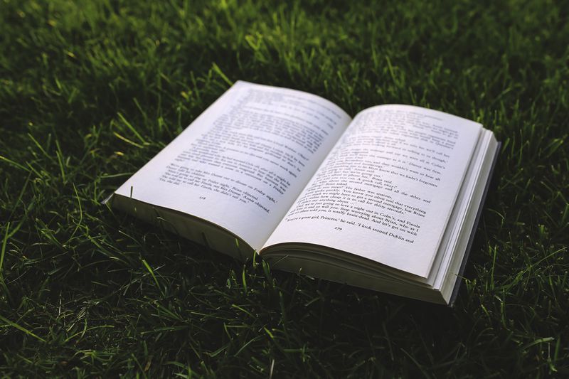 File:Nature-grass-green-book.jpg