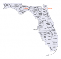 Local ballot measures, Florida