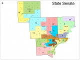 This maps shows the Detroit Senate districts as proposed.