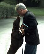 Buddy Clinton (Dog).jpeg