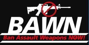 BAWN logo.jpg