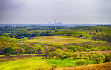 Coal
