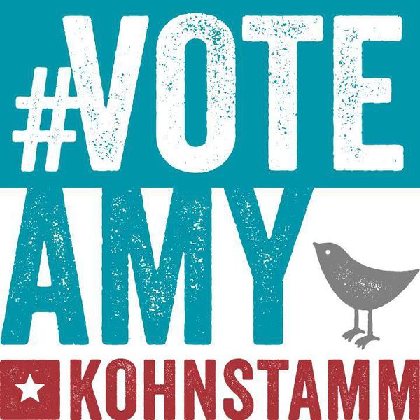 File:Amy Carlsen Kohnstamm Campaign Logo.jpg