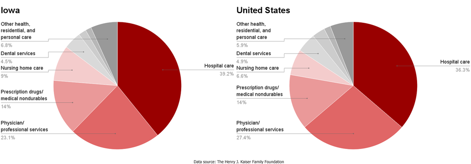 IA-US healthcare spending by service.png