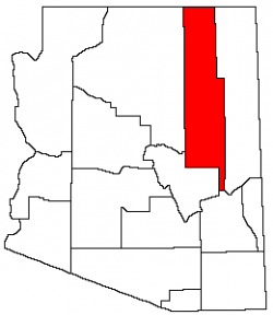 NavajoCountyArizona.png