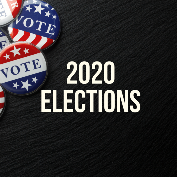File:2020 elections.png