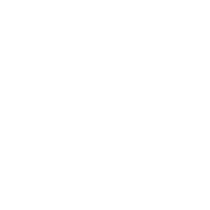 Toolkit icon-white house.png