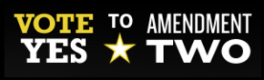 South Carolina Vote Yes Amendment 2 2014.png