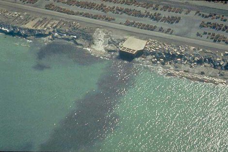 Glossary of environmental terms