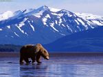 Alaska1.jpg