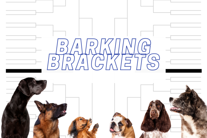 File:Barking brackets front page.png