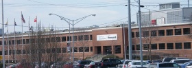 Kc-plant1.jpg